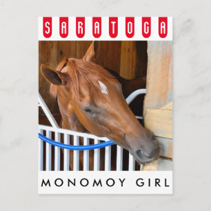 Monomoy Girl Postcard