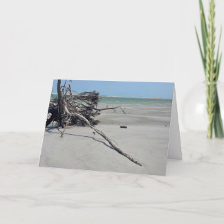 Monomoy National Wildlife Refuge in Cape Cod Card