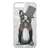 Monsieur Bulldog 2