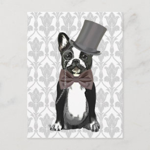 Monsieur Bulldog Postcard