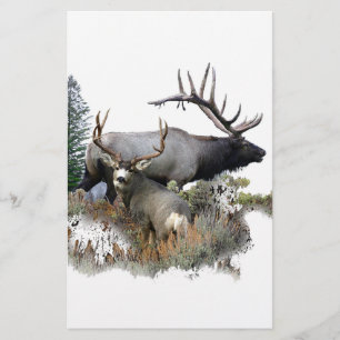 Monster bull trophy buck