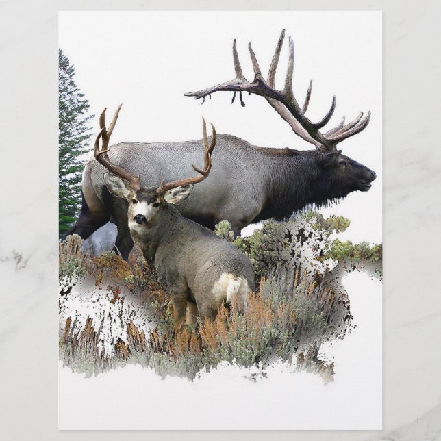 Monster bull trophy buck (Front)