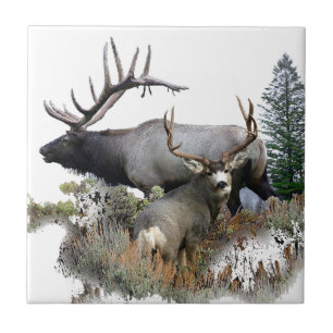 Monster bull trophy buck tile