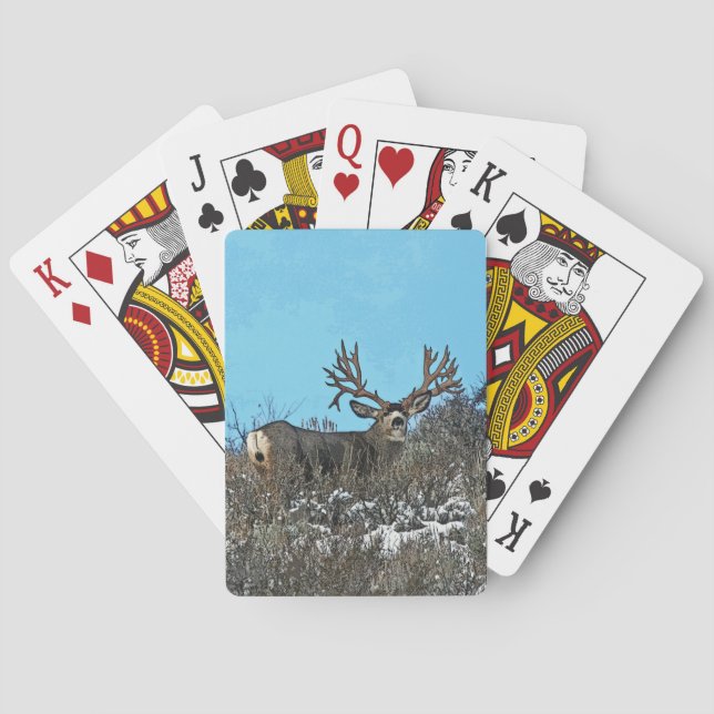 Monster mule deer buck playing cards (Back)