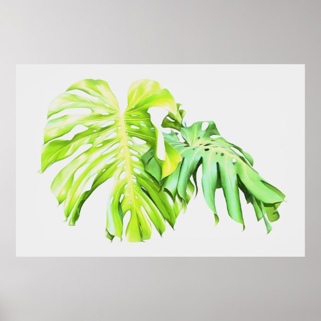Monstera Artistic Leaf Study  Poster (Front)