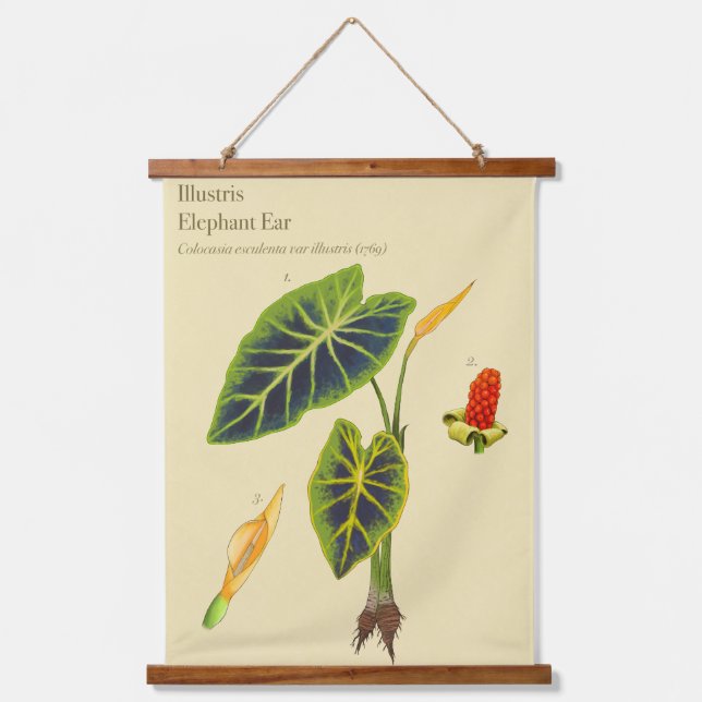 Monstera Elephant Ear Botanical Wall Tapestry  (Front)