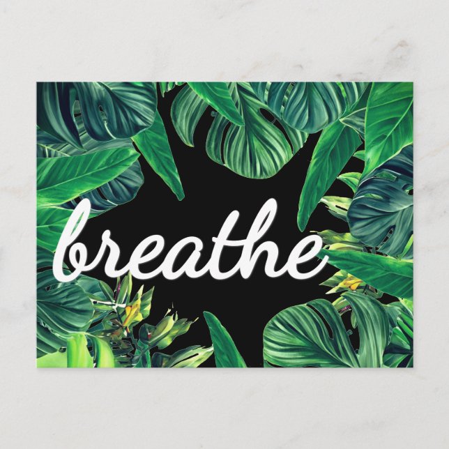 Monstera Law of Attraction Abundance Affirmation Postcard (Front)