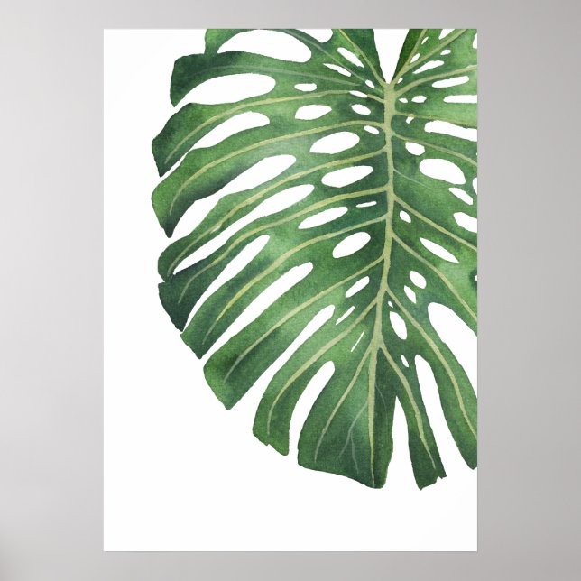Monstera Leaf 6 Poster (Front)