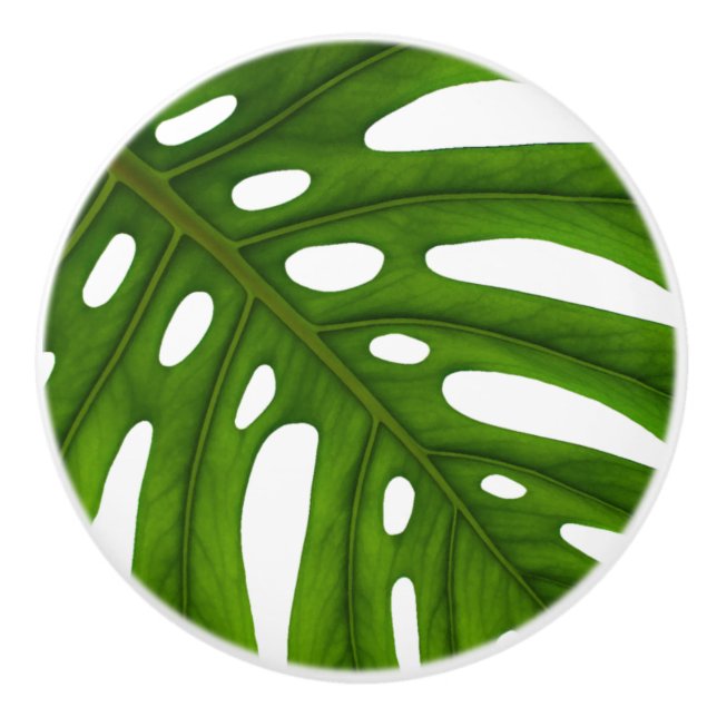 Monstera Leaf  Ceramic Knob (Front)