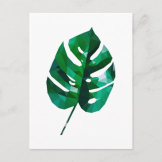 Monstera Leaf Postcard