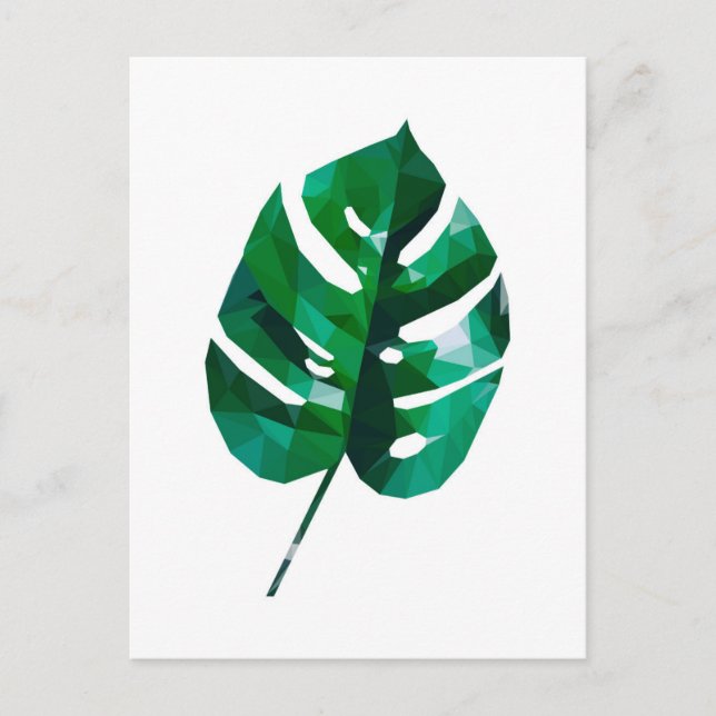 Monstera Leaf Postcard (Front)