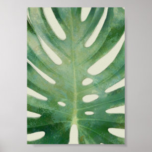 Monstera leaf poster
