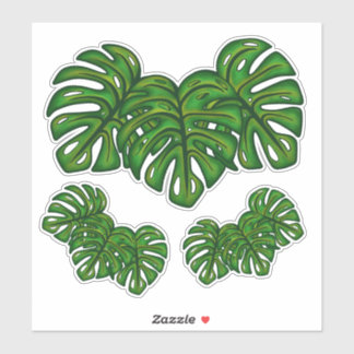 Monstera Leaves