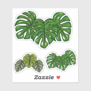 Monstera Leaves