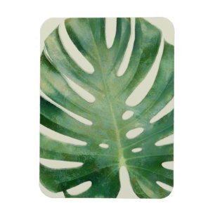Monstera leaves magnet
