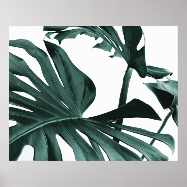 Monstera Leaves Poster (Front)