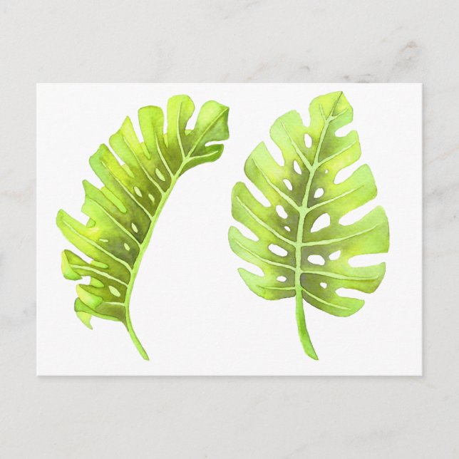 Monstera Leaves Watercolor Postcard (Front)