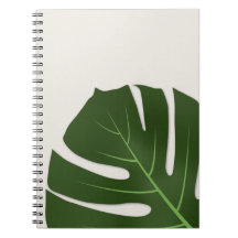 Monstera