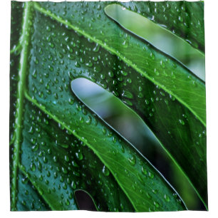 Monstera plant leaf green shower curtain