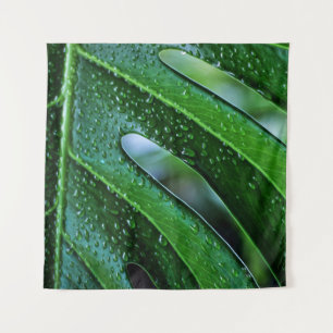 Monstera plant leaf green tapestry