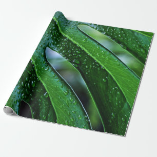Monstera plant leaf green wrapping paper