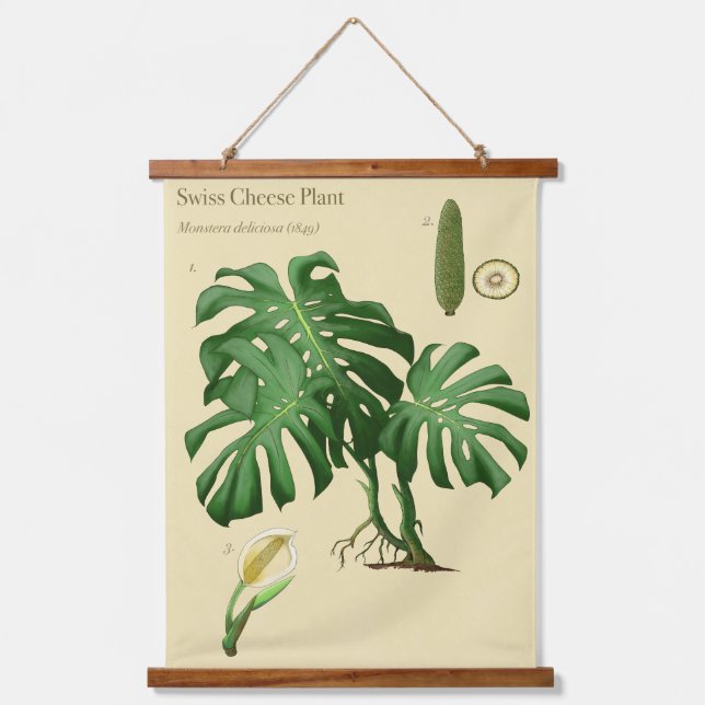 Monstera Swiss Cheese Botanical Wall Tapestry  (Front)