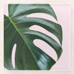 Monstera Tropical Leaf Glass Coaster