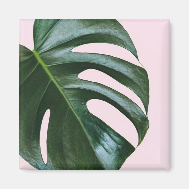 Monstera Tropical Leaf Magnet (Front)
