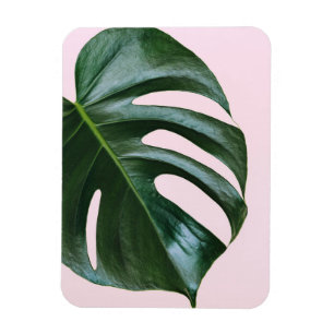 Monstera Tropical Leaf Magnet