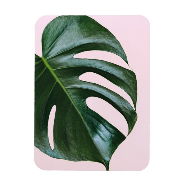 Monstera Tropical Leaf Magnet (Vertical)