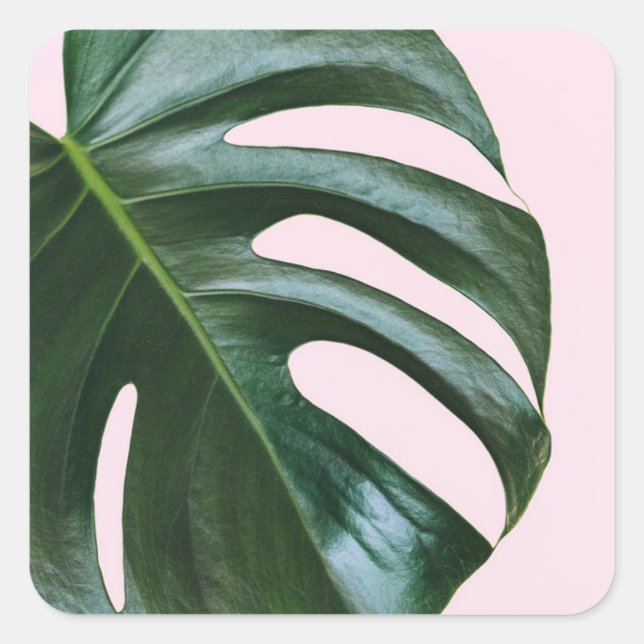 Monstera Tropical Leaf Square Sticker (Front)