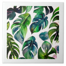 monstera watercolor with frame