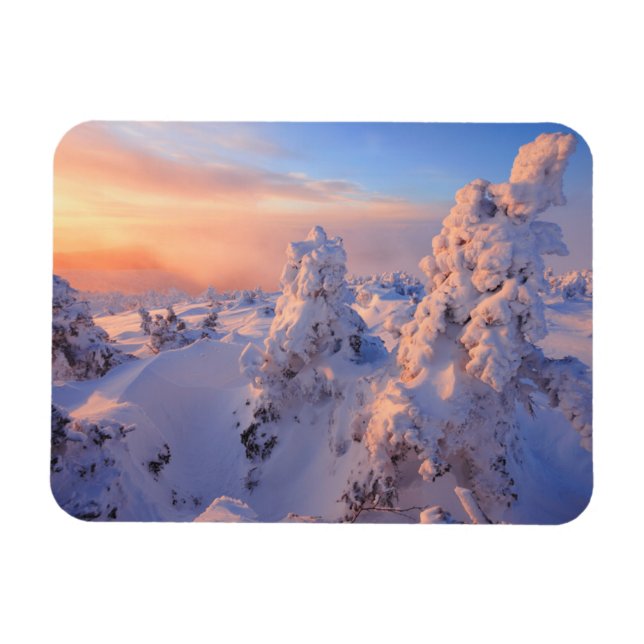 Mont Logan Sunrise Gaspesie National Park Quebec Magnet (Horizontal)