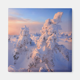 Mont Logan Sunrise Gaspesie National Park Quebec Magnet