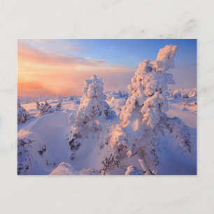 Mont Logan Sunrise Gaspesie National Park Quebec Postcard