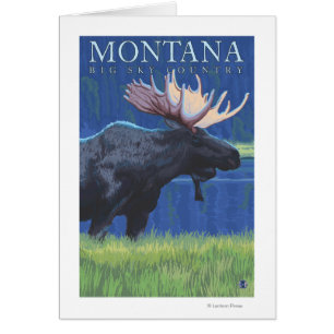 Montana -- Big Sky CountryMoose in Moonlight