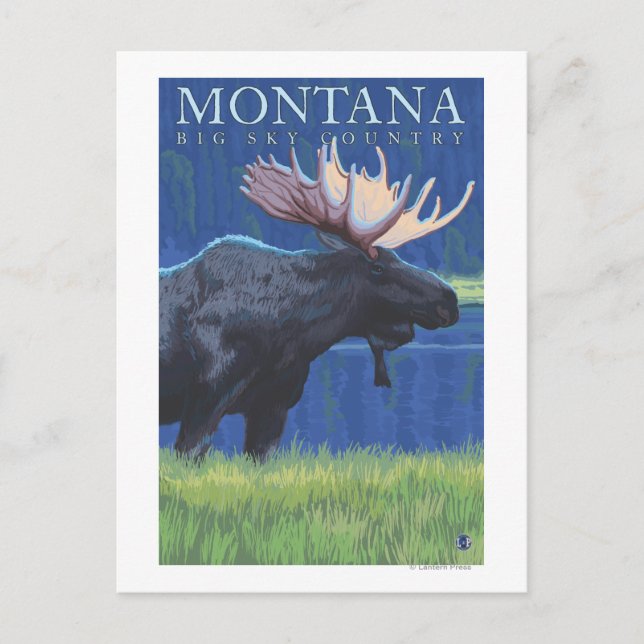 Montana -- Big Sky CountryMoose in Moonlight Postcard (Front)