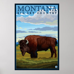 Montana - Bison Poster
