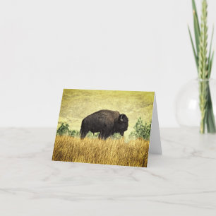 Montana Buffalo Card