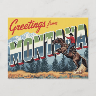 Montana Cowboy Horse Postcard