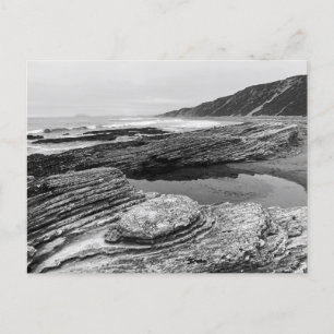 Montaña de Oro State Park California Postcard