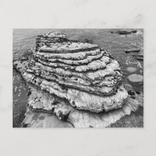 Montaña de Oro State Park California Postcard