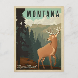 Montana Deer   Majestic, Magical Postcard
