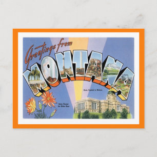 Montana Greetings From US States Postcard