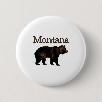 Montana Grizzly Bear