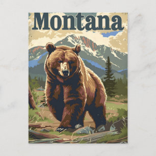 Montana Grizzly Vintage Postcard