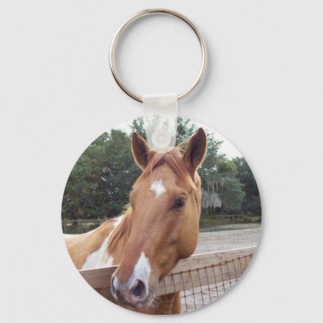 montana key ring (Front)