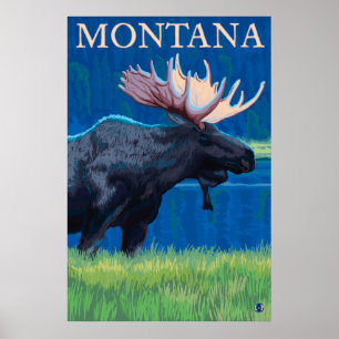 Montana - Moose Poster