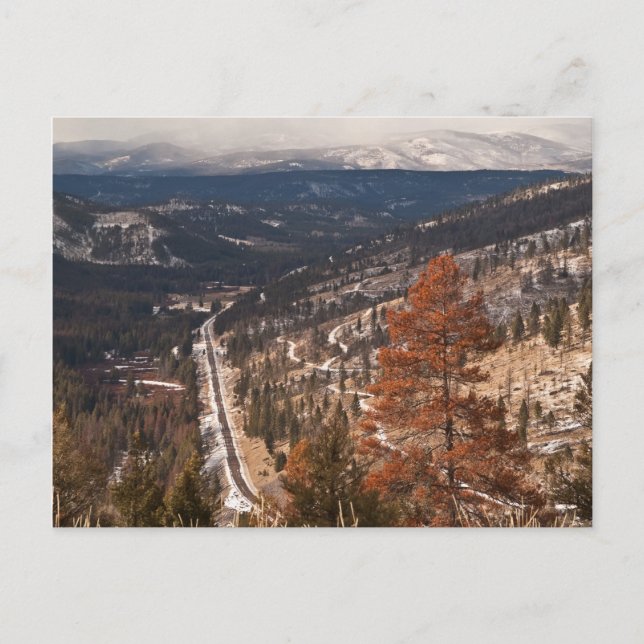 Montana Mountain Scenery Postcard (Front)