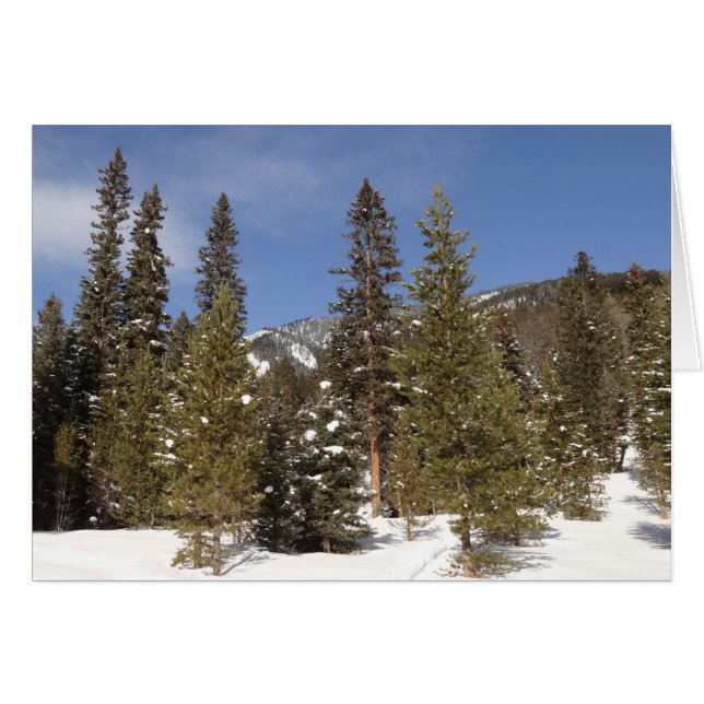 Montana Mountain Trails in Winter Landscape Photo (Front Horizontal)